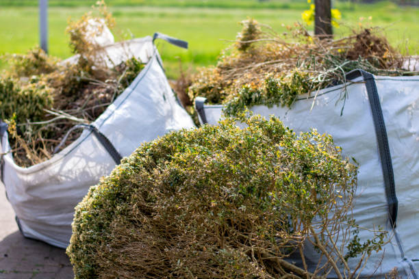 Best Retail Junk Removal  in Cornville, AZ