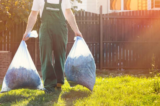 Best Electronics and E-Waste Disposal  in Cornville, AZ
